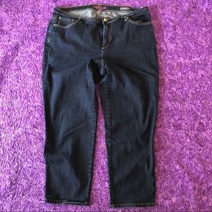 Gloria Vanderbilt women’s plus size jeans